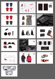 汽车延展礼品VI