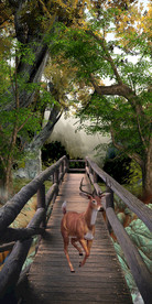 梦幻森林麋鹿3D玄关背景