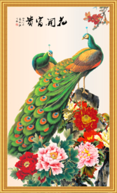 花开富贵