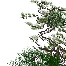卡通松树树枝元素