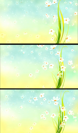 小清新花朵飘落动态视频背景