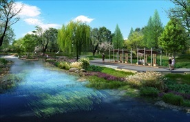 景观园林分层psd