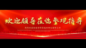 热烈欢迎领导莅临指导PPT背景