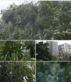 下雨暴雨4K高清实拍