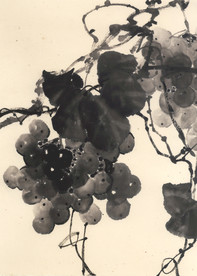 水墨葡萄国画