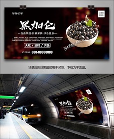 黑加仑展架挂画展板易拉宝海报