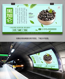 黑加仑灯箱展架单页挂画易拉宝