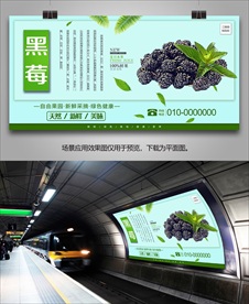 新鲜黑莓灯箱展板海报展架单页