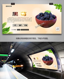 新鲜黑莓易拉宝挂画海报灯箱展架