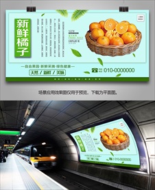 桔子展板单页灯箱挂画海报展架