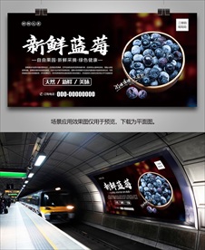 蓝莓展架展板海报易拉宝单页挂画