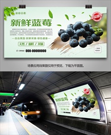 蓝莓易拉宝灯箱海报展架展板单页