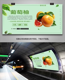 西柚灯箱易拉宝单页展架展板挂画