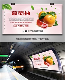 西柚单页挂画灯箱易拉宝展架展板