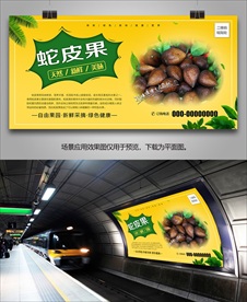 蛇皮果灯箱展板单页易拉宝挂画