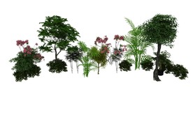 户外植物组合3d模型