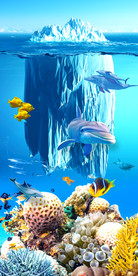 海洋鱼群3d玄关背景墙装饰画