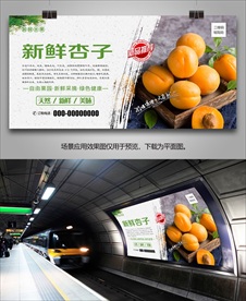 杏灯箱展架海报挂画易拉宝单页