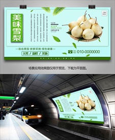 雪梨易拉宝海报展架单页展板挂画