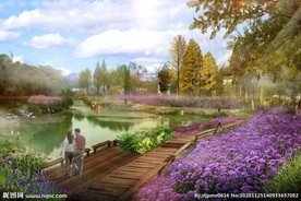 湿地 花溪 栈道 花海