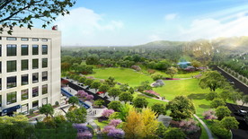 办公绿化场地 疏林草地