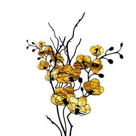 国潮金箔花朵元素