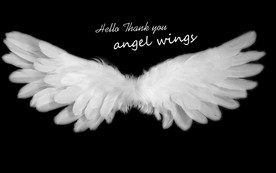 浪漫唯美天使翅膀工装背景墙