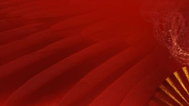 地产活动创意设计