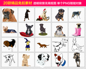 精品狗狗萌宠免抠图片素材