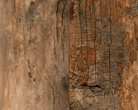 高清天然木纹贴图木板地板