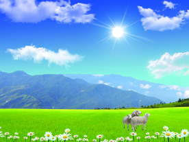 蓝天白云草地