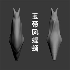 玉带凤蝶蛹3D模型