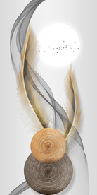 羽毛玄关装饰画