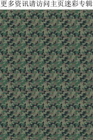 迷彩 迷彩花纹 迷彩图案