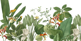 美式风景欧式背景墙纸热带植物壁