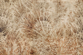 高清天然石材贴图瓷砖大理石