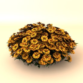 树木模型 植物模型 花草模型