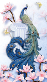 孔雀玄关装饰画