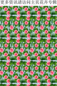 2021印花 夏季植物