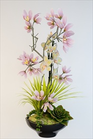 兰花植物盆栽模型