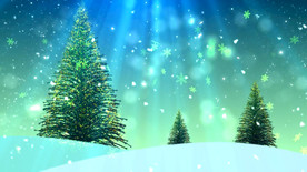 圣诞 庆典 节日 新年  喜庆