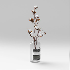 C4D棉花建模渲染