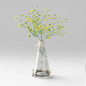 C4D盆栽建模渲染