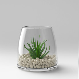 C4D盆栽建模渲染