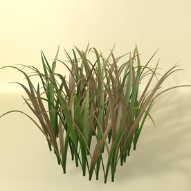 花草模型 植物模型 花卉模型