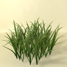 花草模型 植物模型 花卉模型