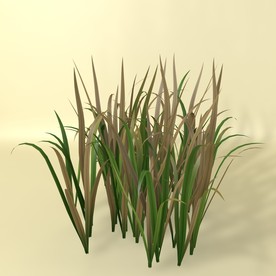 花草模型 植物模型 花卉模型