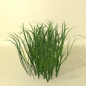 花草模型 植物模型 花卉模型