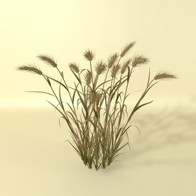 花草模型 植物模型 花卉模型