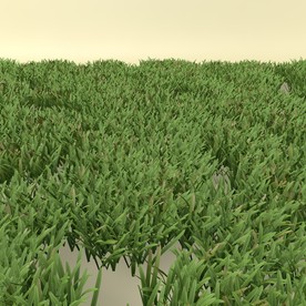 花草模型 植物模型 花卉模型